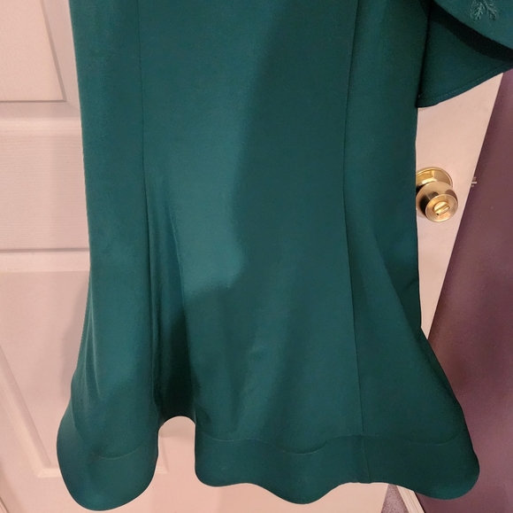 Terani Couture gown. - Picture 3 of 5